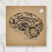 Vintages Gehirndiagramm Antike Anatomie Kunst Geschenkanhänger (Rückseite)
