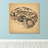 Vintages Gehirndiagramm Antike Anatomie Kunst Leinwanddruck (Insitu (Holzboden))