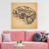 Vintages Gehirndiagramm Antike Anatomie Kunst Leinwanddruck (Insitu (Wohnzimmer))