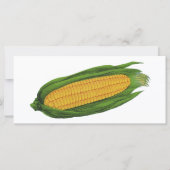 Vintages Gemüse; Gelber Mais auf dem Cob (Vorderseite)