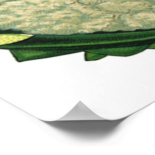 Vintages Gemüse Gemüse Veggies Blumenkohl Poster (Ecke)