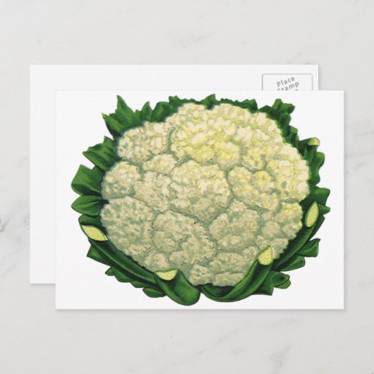 Vintages Gemüse Gemüse Veggies Blumenkohl Postkarte (Vorne/Hinten)