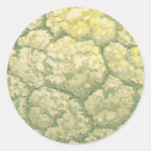 Vintages Gemüse Gemüse Veggies Blumenkohl Runder Aufkleber