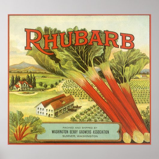 Vintages Gemüse kann Kunst, Rhubarb-Bauernhof Poster (Vorne)