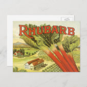 Vintages Gemüse kann Kunst, Rhubarb-Bauernhof Postkarte (Vorne/Hinten)