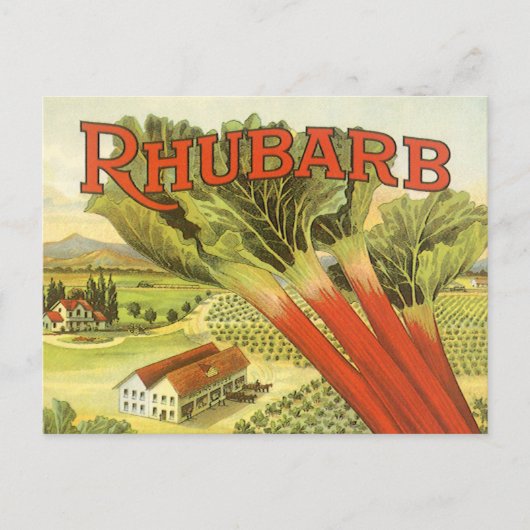 Vintages Gemüse kann Kunst, Rhubarb-Bauernhof Postkarte (Vorderseite)