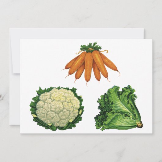 Vintages Gemüse; Karotten, Blumenkohl, Salat (Vorderseite)