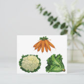 Vintages Gemüse; Karotten, Blumenkohl, Salat Postkarte (Stehend Vorderseite)
