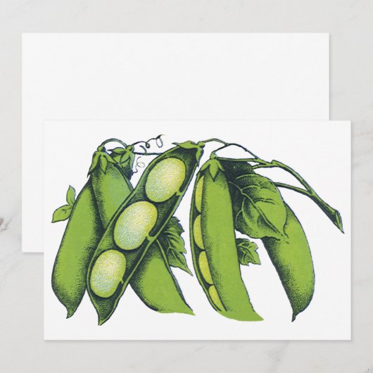 Vintages Gemüse; Limabohnen, Bio landwirtschaftlic (Vorne/Hinten)