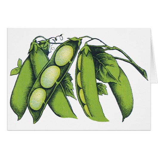 Vintages Gemüse; Limabohnen, Bio landwirtschaftlic (Vorderseite (Horizontal))