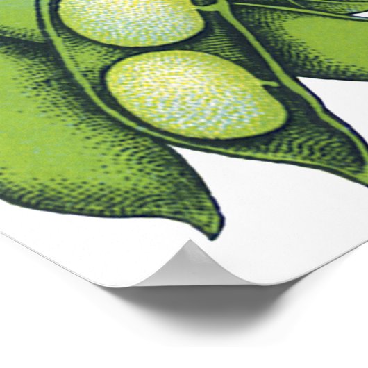 Vintages Gemüse; Limabohnen, Bio landwirtschaftlic Poster (Ecke)