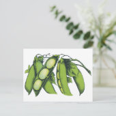Vintages Gemüse; Limabohnen, Bio landwirtschaftlic Postkarte (Stehend Vorderseite)