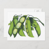 Vintages Gemüse; Limabohnen, Bio landwirtschaftlic Postkarte (Vorne/Hinten)