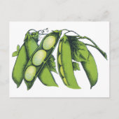 Vintages Gemüse; Limabohnen, Bio landwirtschaftlic Postkarte (Vorderseite)
