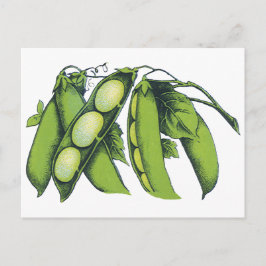 Vintages Gemüse; Limabohnen, Bio landwirtschaftlic Postkarte