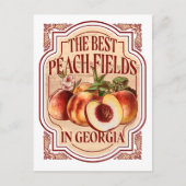 Vintages Georgia Peach Fields Postkarte (Vorderseite)
