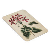 Vintages Geranenmagnet Magnet (Rechte Seite)