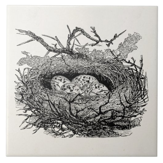 Vintages gesprenkeltes fliese (Vorderseite)