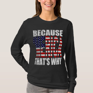 Vintages getragen weil 'MERICA, das warum Shirt