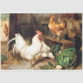 Vintages Gewebe für Hühner und Roosters Seidenpapier (Vorderseite)