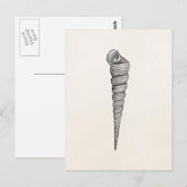 Vintages gewundenes postkarte (Vorne/Hinten)