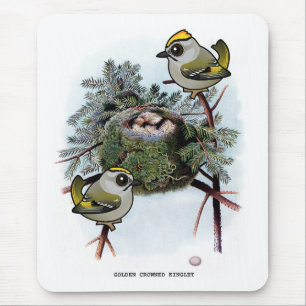 Vintages goldgekröntes Kinglet Mousepad