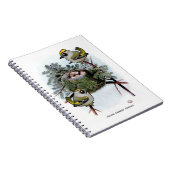 Vintages goldgekröntes Kinglet Notizblock (Rechte Seite)