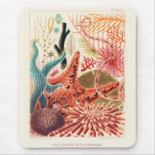 Vintages Great Barrier Reef Australien Stachelhäu Mousepad