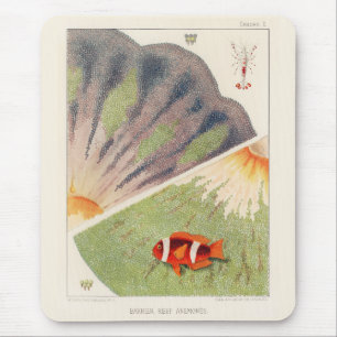 Vintages Great Barrier Reef of Australia Anemones Mousepad