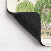Vintages Great Barrier Reef of Australia Anemones Mousepad (Ecke)