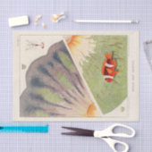 Vintages Great Barrier Reef of Australia Anemones Seidenpapier (Handwerk)