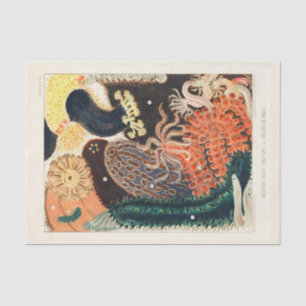 Vintages Great Barrier Reef Trepang oder Bêche-de- Seidenpapier