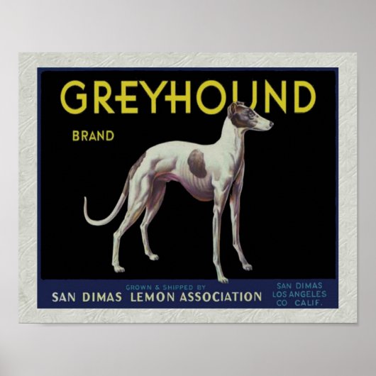 Vintages Greyhound Lemon Label Circa 1920 Poster (Vorne)