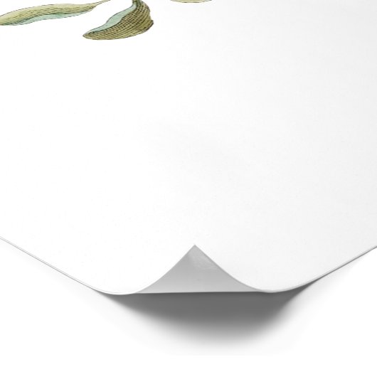 Vintages grünes botanisches Plakat (Ecke)