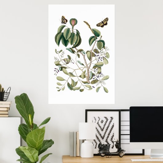 Vintages grünes botanisches Plakat (Heimbüro)