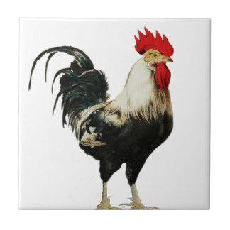 Vintages Hahn-Huhn fertigen Tierbestes besonders Fliese