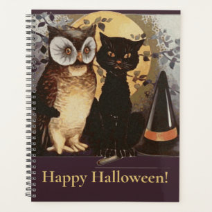 Vintages Halloween Black Cat & Owl Hexenhut Moon Planer