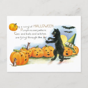 Vintages Halloween-Greeting Black Cat JackoLantern Postkarte
