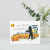 Vintages Halloween-Greeting Black Cat JackoLantern Postkarte (Stehend Vorderseite)
