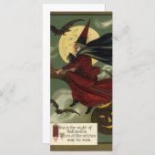 Vintages Halloween-Riding-Broomstick mit Katze (Vorne/Hinten)