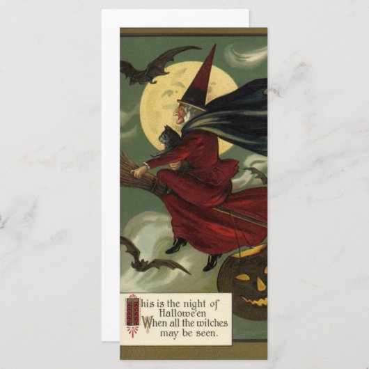 Vintages Halloween-Riding-Broomstick mit Katze (Vorne/Hinten)