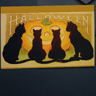 Vintages Halloween Schwarze Katzen und Jack O'Lant Postkarte