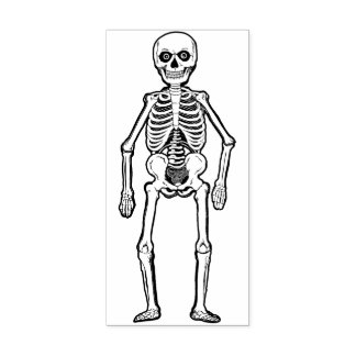 Vintages Halloween Skeleton Gummistempel