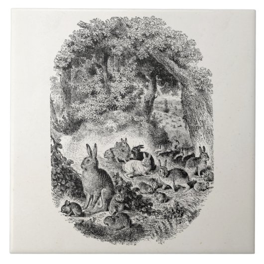 Vintages Häschen-Kaninchen 1800s Häschen-Kaninchen Fliese (Vorderseite)