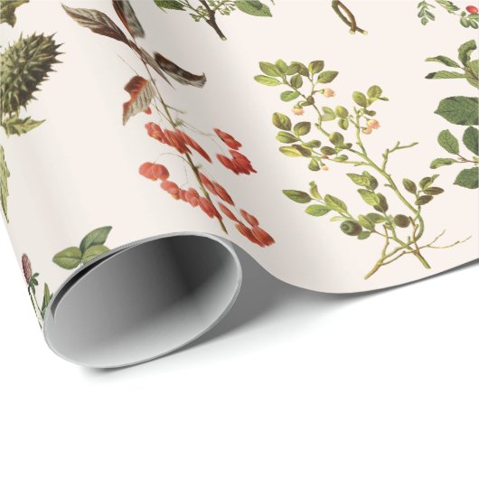 Vintages Herbarium Grünes Pflanze Muster Geschenkpapier (Rolleneckpunkt)