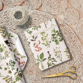 Vintages Herbarium Grünes Pflanze Muster Geschenkpapier