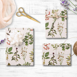 Vintages Herbarium Grünes Pflanze Muster Geschenkpapier Set