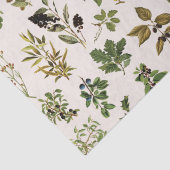 Vintages Herbarium Grünes Pflanze Muster Seidenpapier (Detail)