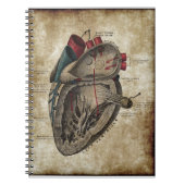 Vintages Herz-Diagramm-Notizbuch Notizblock (Vorderseite)