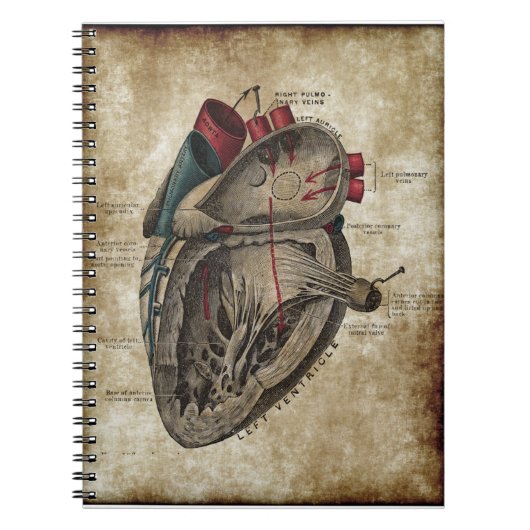 Vintages Herz-Diagramm-Notizbuch Notizblock (Vorderseite)